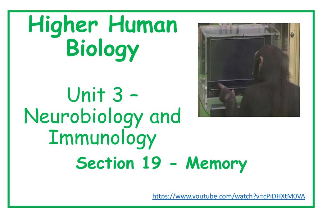 higher human biology assignment ideas