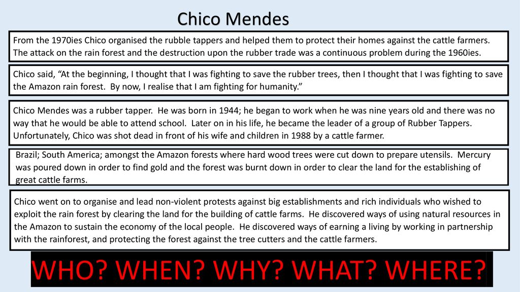 CHICO MENDES: Gandhi of the Rain Forest