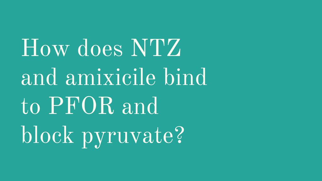 How does NTZ and amixicile bind to PFOR and block pyruvate