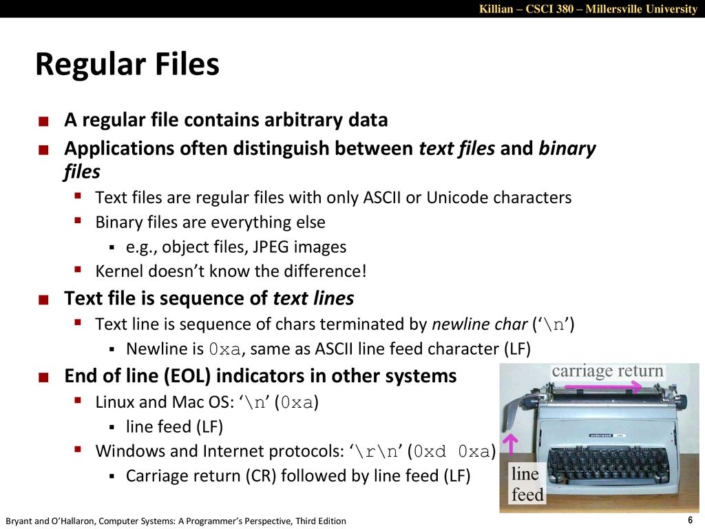 Regular Files A regular file contains arbitrary data