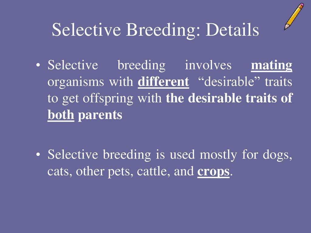 Genetic Engineering and Selective Breeding - ppt download