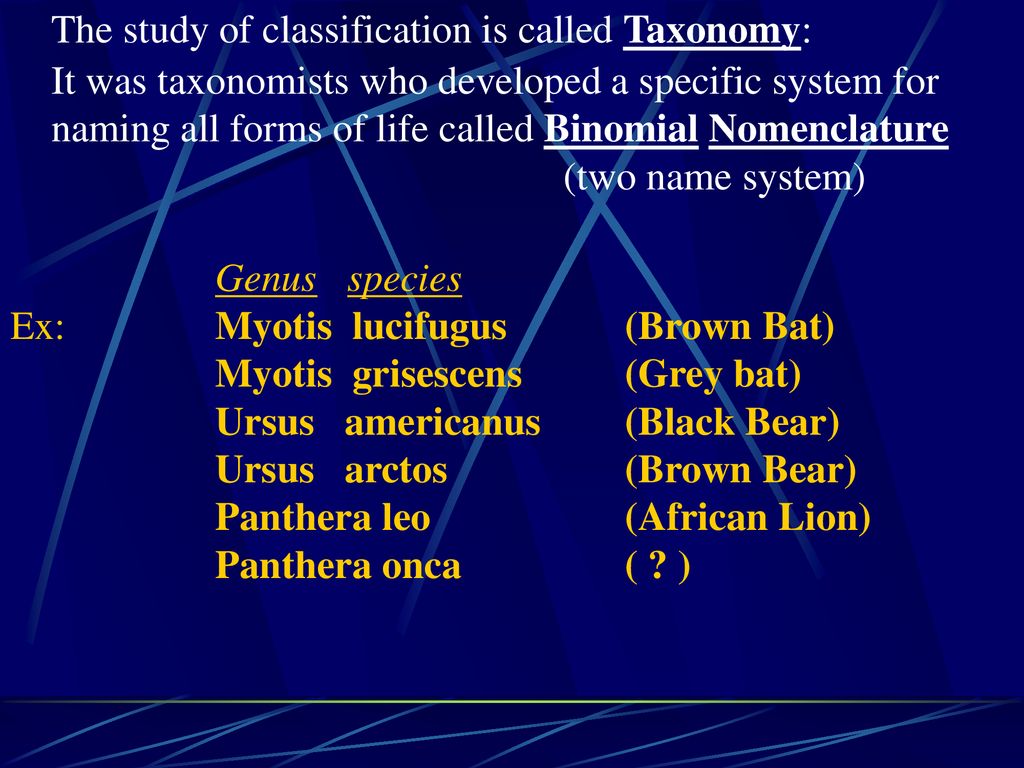 Learning Objectives Know why scientists had to develop their own system