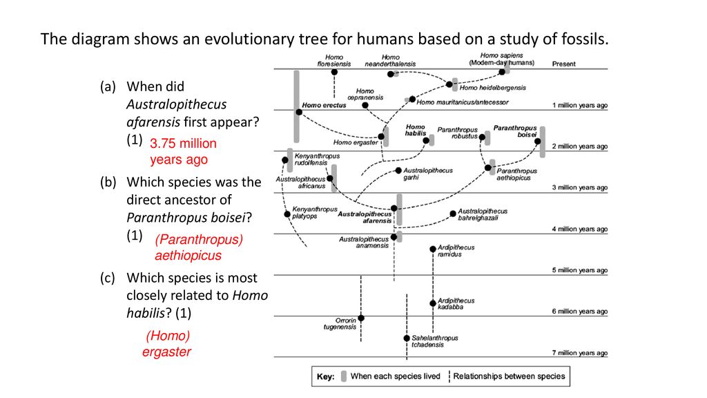 Biology paper 2 combined exam questions ppt download