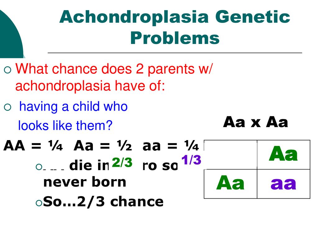 Pedigrees Ap Biology Ms Gaynor Ppt Download