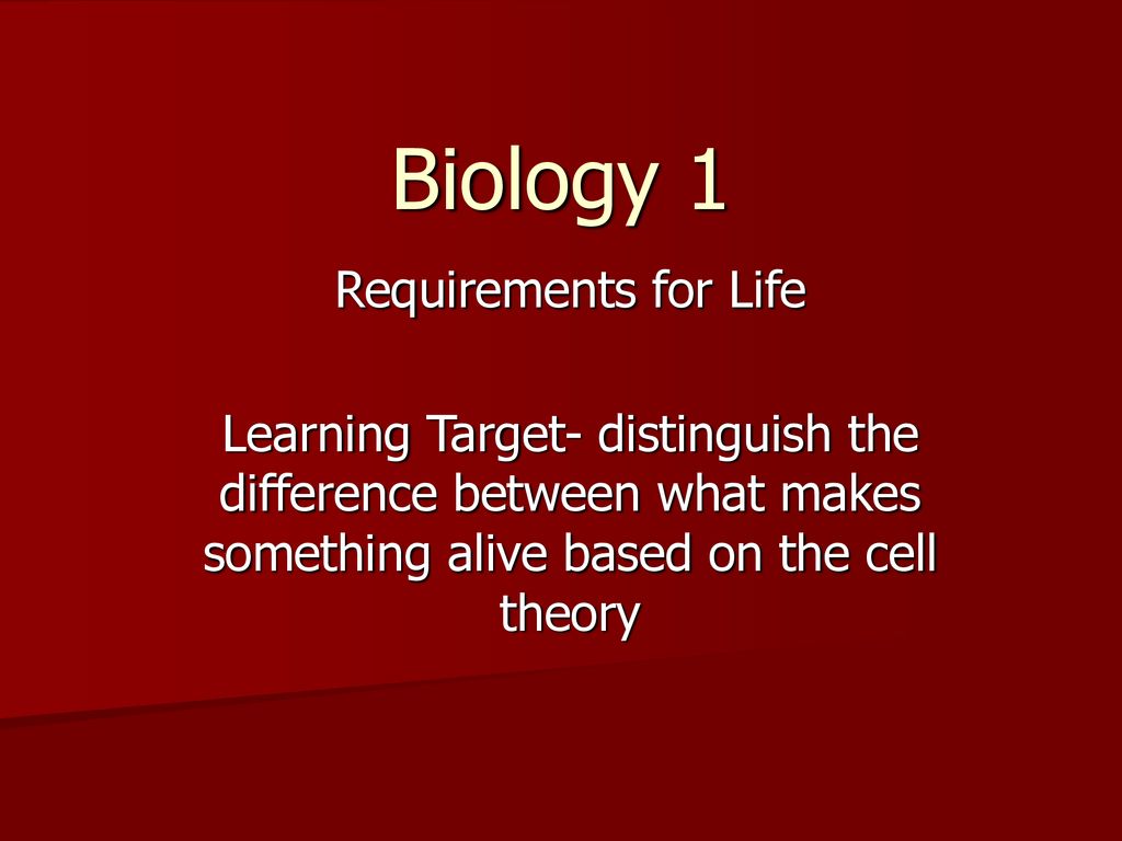 The many forms of yeast ppt download