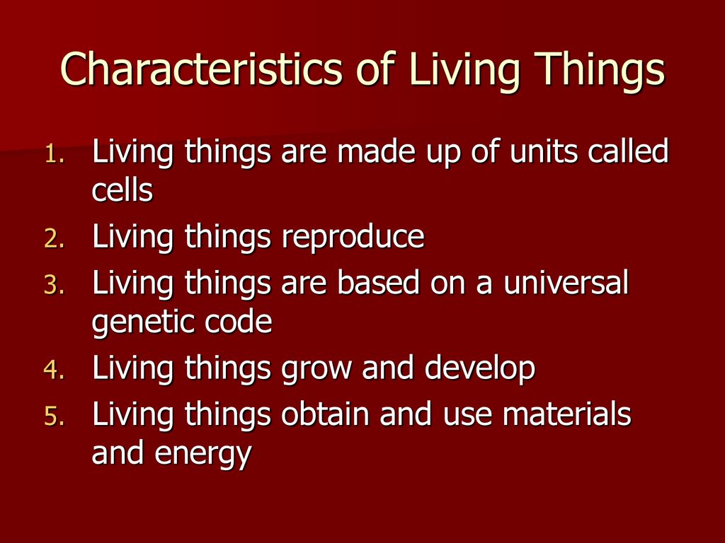 The many forms of yeast ppt download