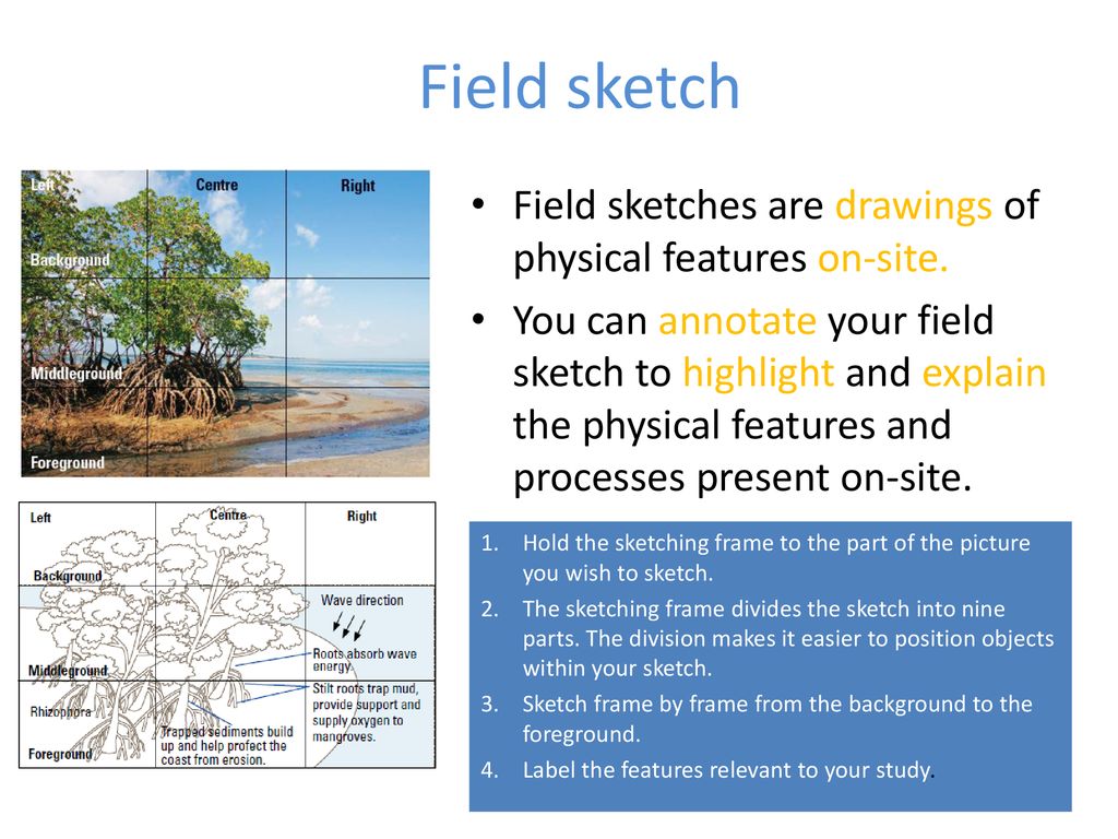 Map Skills 7 'Sketch Maps?' To understand why people use sketch maps and  how we can draw one. Draw a sketch map of the route they described last  lesson. - ppt download