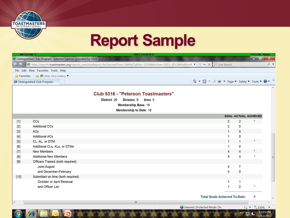 Report Sample
