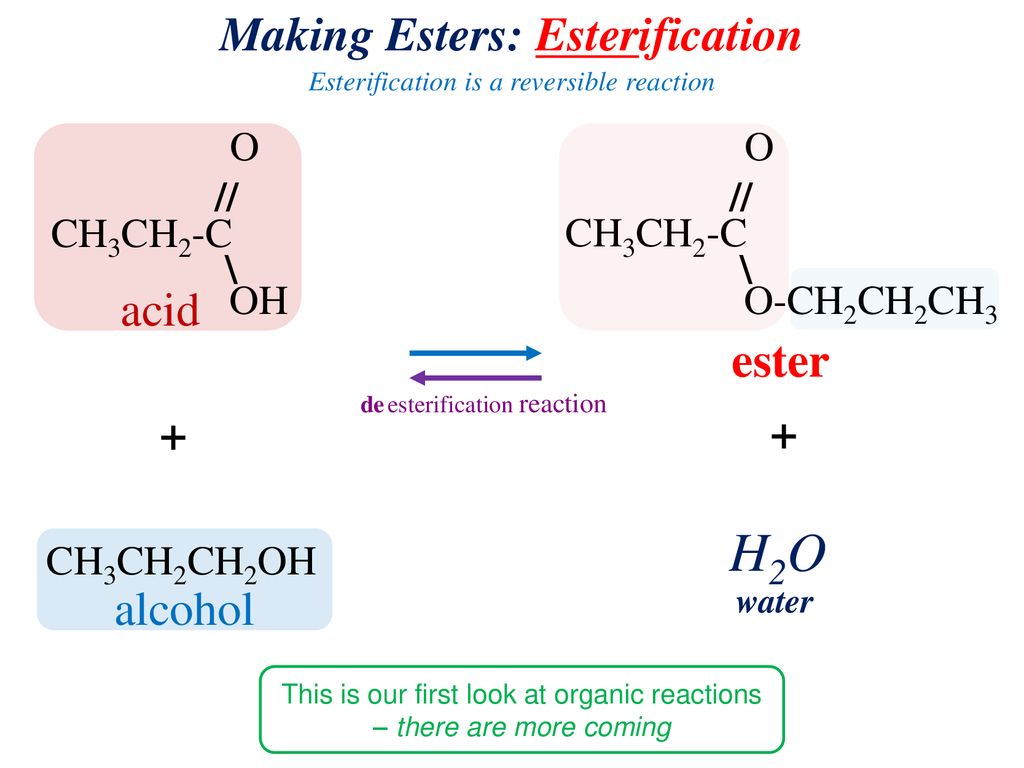 Reaction esterification Fischer Esterification