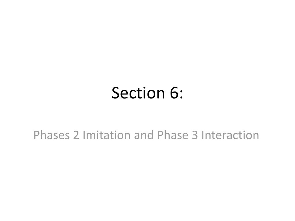 Phases 2 Imitation and Phase 3 Interaction