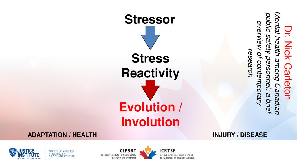 Police Officer Stress and Mental Health - ppt download