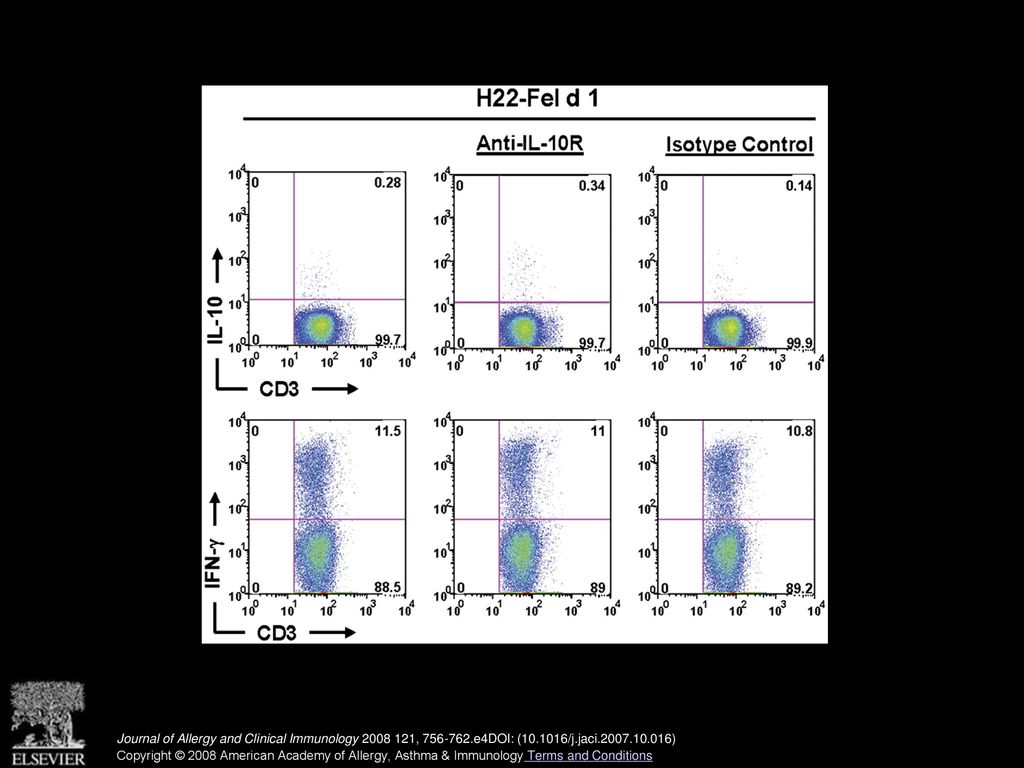 Effect of blocking IL-10 on cytokine-positive CD4+ T cells induced by H22–Fel d 1. CD4+ T cells were cocultured with MDDCs pulsed with H22–Fel d 1 in the presence of a blocking anti–IL-10 receptor mAb or isotype control. Flow cytometry dot plots showing effects of IL-10 blockade on IL-10+ and IFN-γ+ cells (representative of 5 subjects with cat allergy).