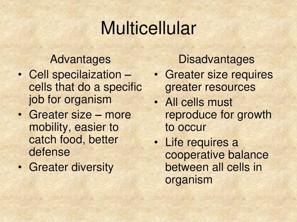 Multicellular Advantages