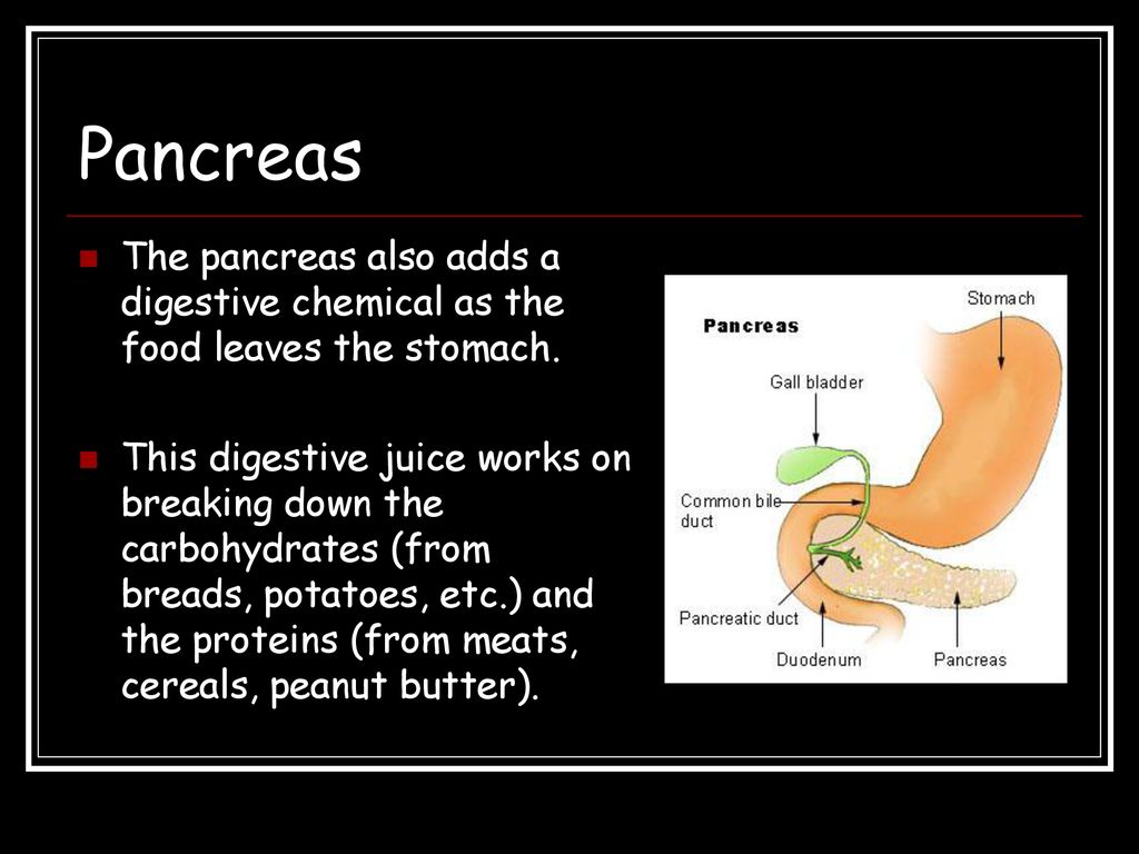 Pancreas The pancreas also adds a digestive chemical as the food leaves the stomach.