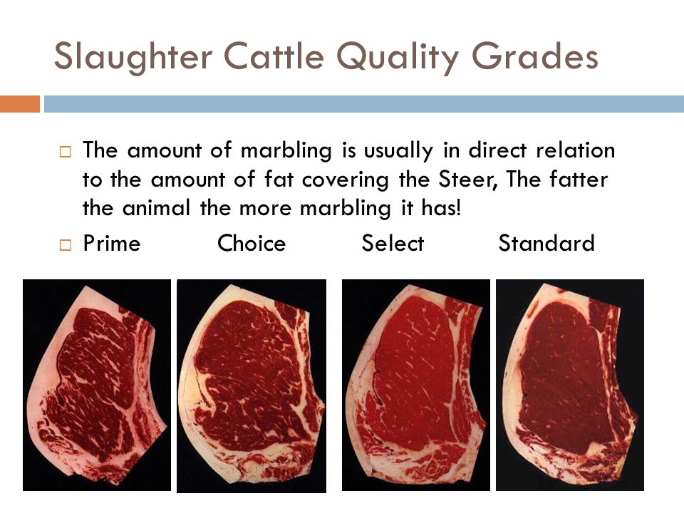 Beef Marbling Chart