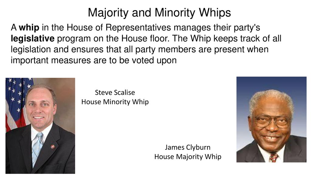 Majority and Minority Whips