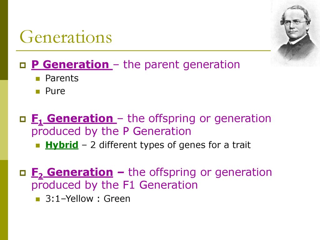 Generations P Generation – the parent generation