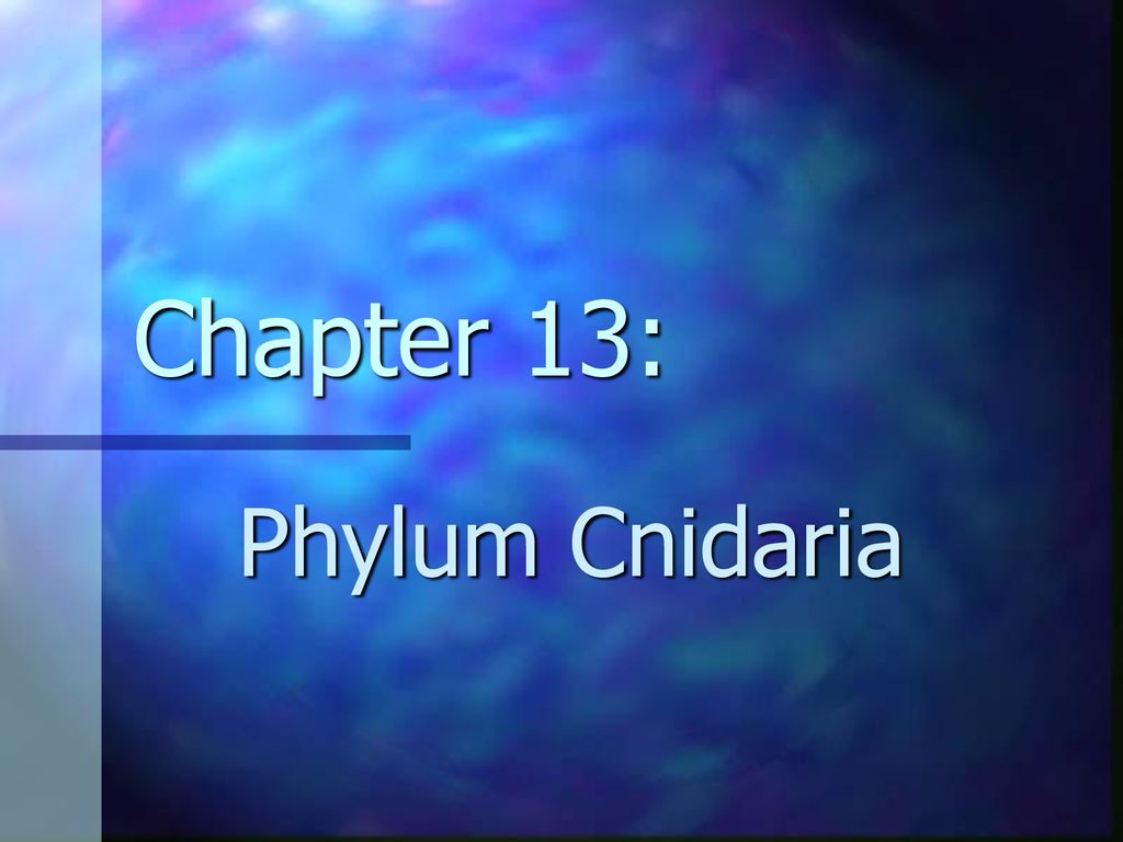 Chapter 13: Phylum Cnidaria