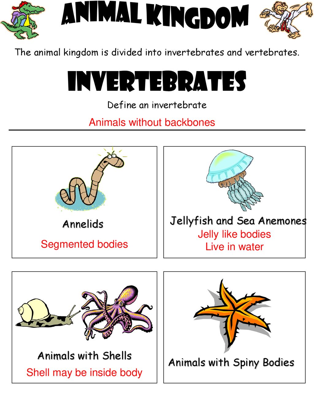 Animal Kingdom Invertebrates Animals without backbones - ppt download