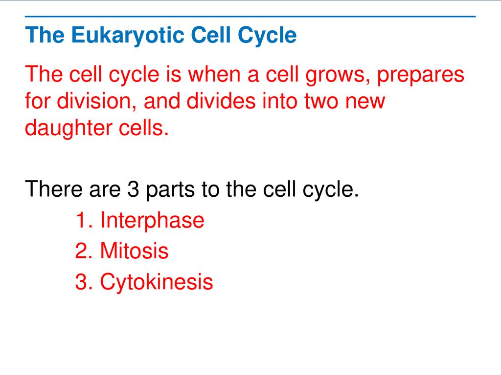 Limits to Cell Size How do organisms get bigger Biology Diagrams