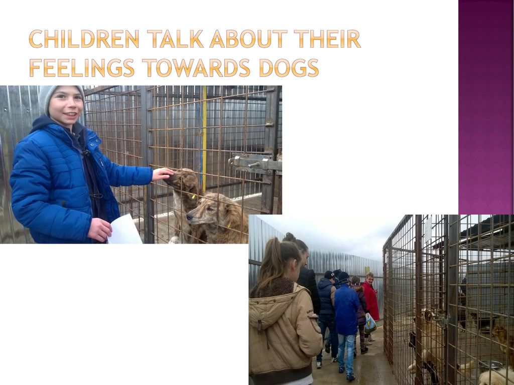 Children talk about their feelings towards dogs