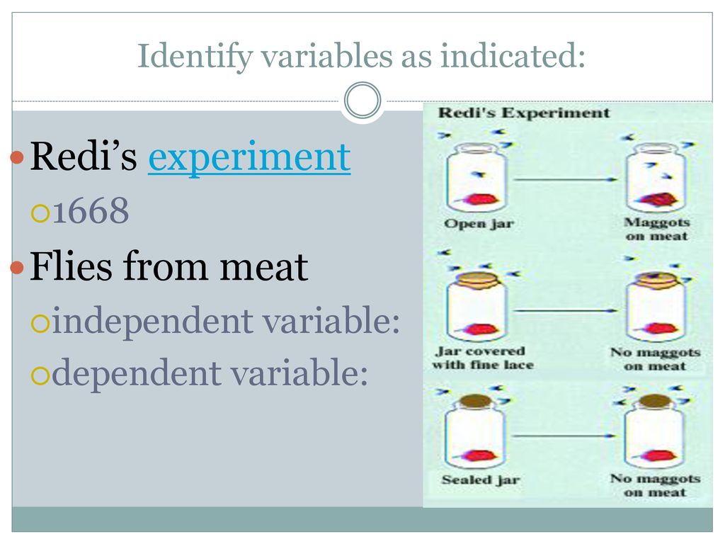 The scientific method short video click on picture ppt download