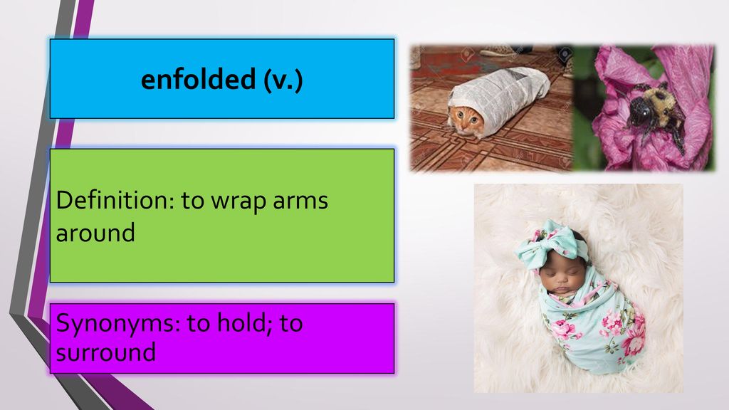 Synonym Wrap Arms at Chad Dixon blog