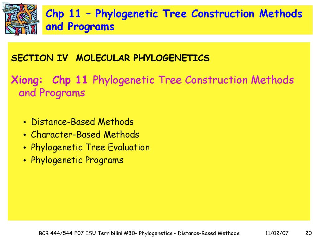 #30 - Phylogenetics Distance-Based Methods - Ppt Download