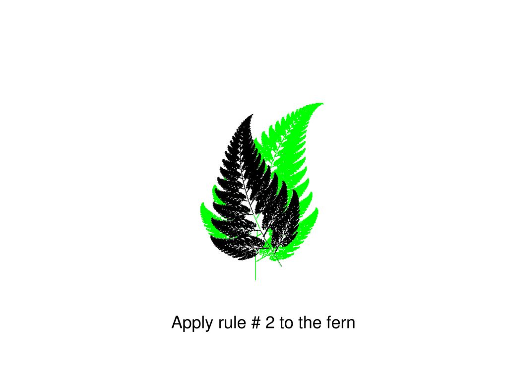 Apply rule # 2 to the fern