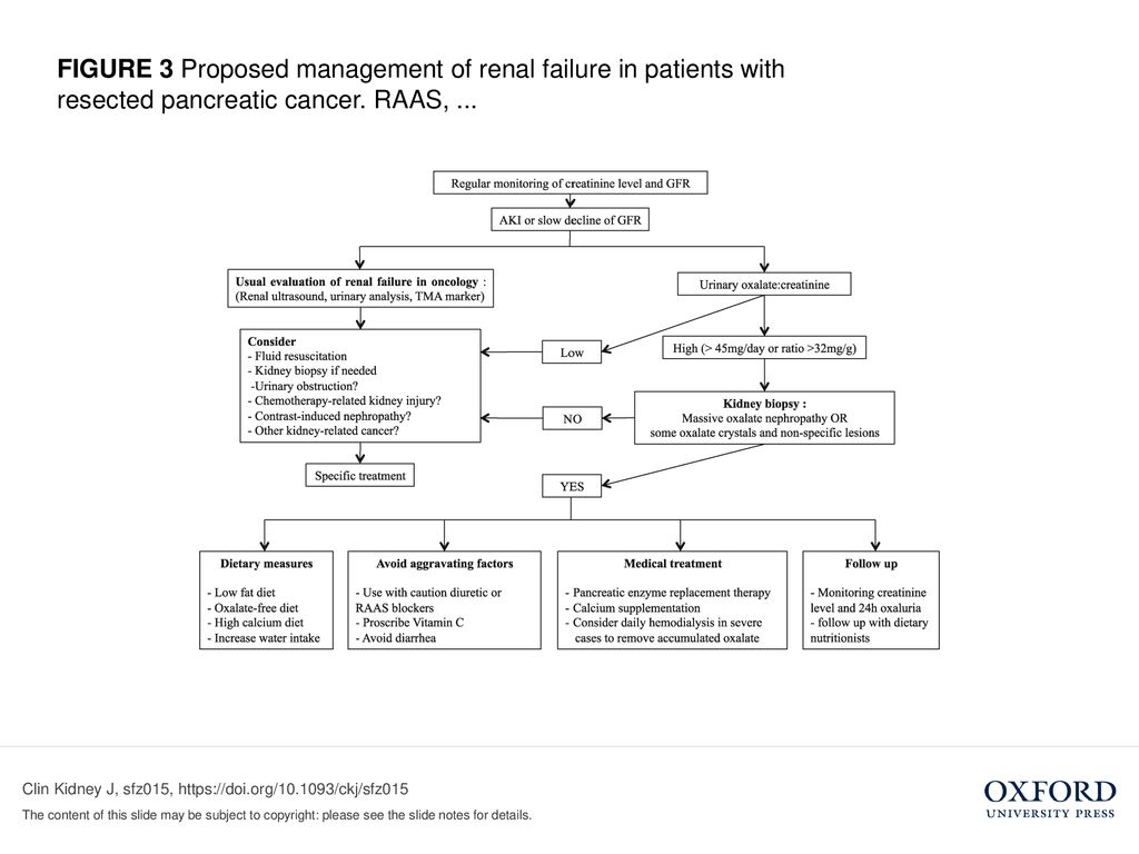 FIGURE 3 Proposed management of renal failure in patients with resected pancreatic cancer. RAAS, ...