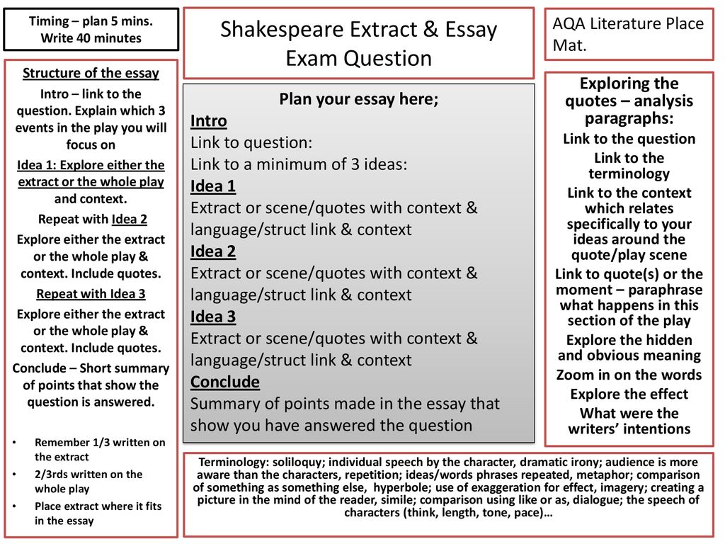 Essay Structure and Literature Analysis Support - ppt download