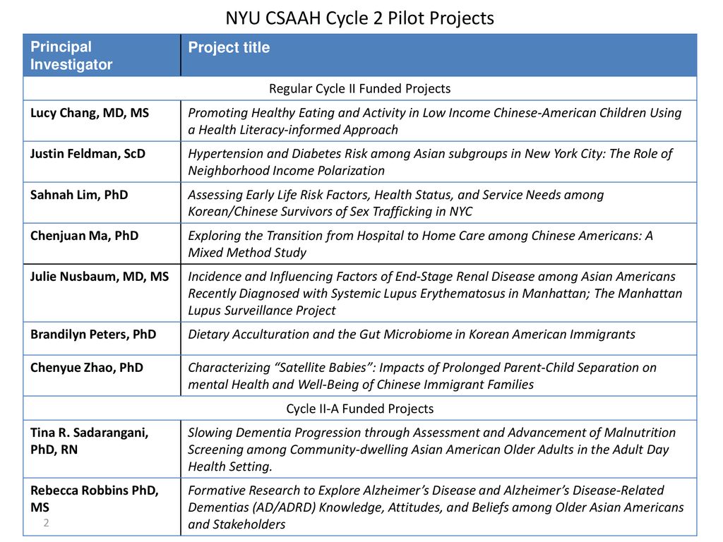 NYU CSAAH Cycle 2 Pilot Projects