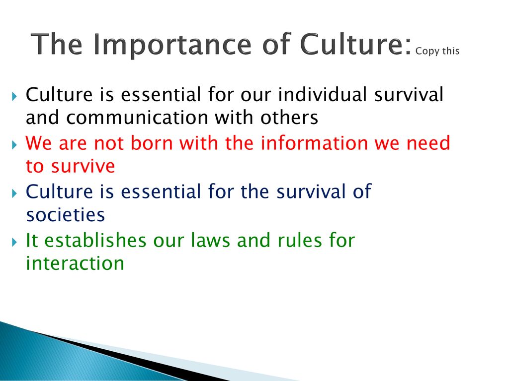 Culture and Society. - ppt download