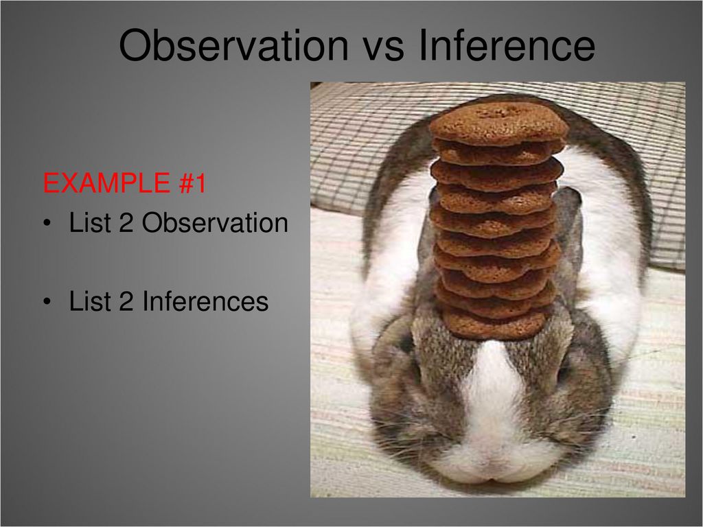 Making Observations and Inferences - ppt download
