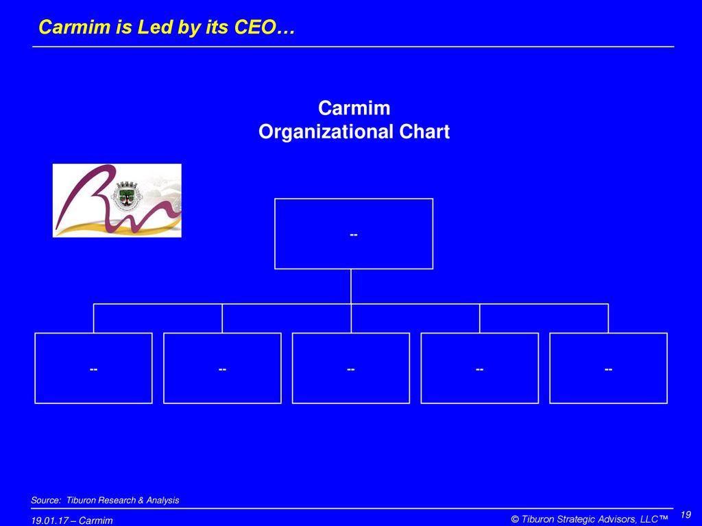 Carmim is Led by its CEO…