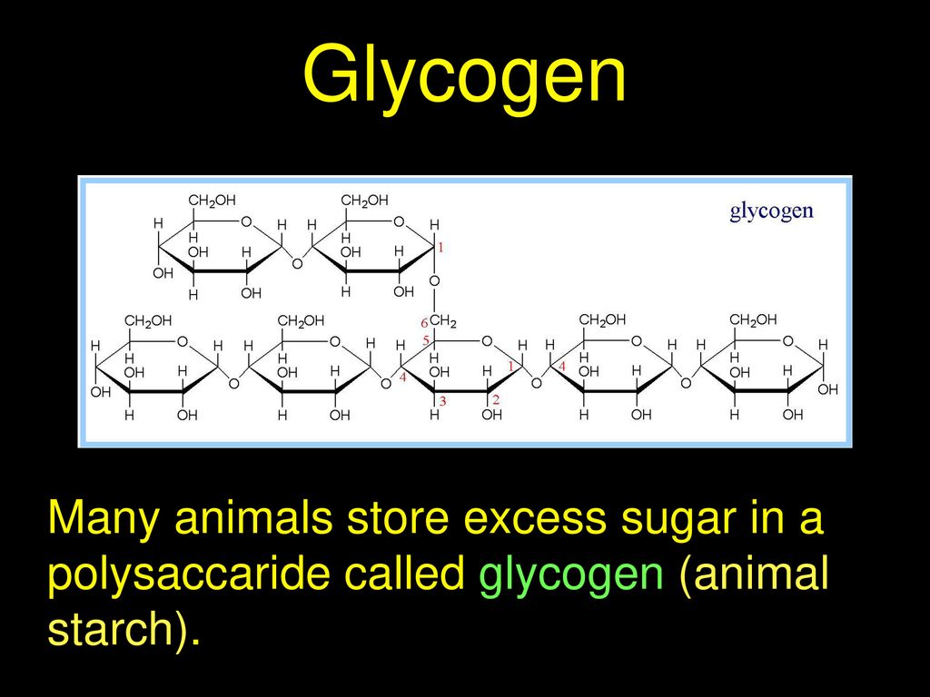 Carbohydrates ppt download