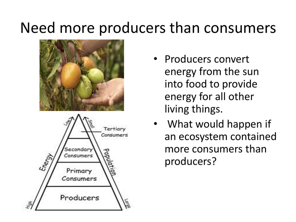 What happens if there are more producers than consumers?