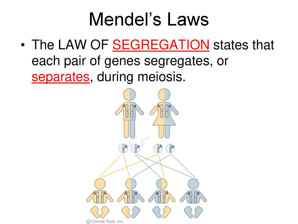 Of states? what does segregation law the