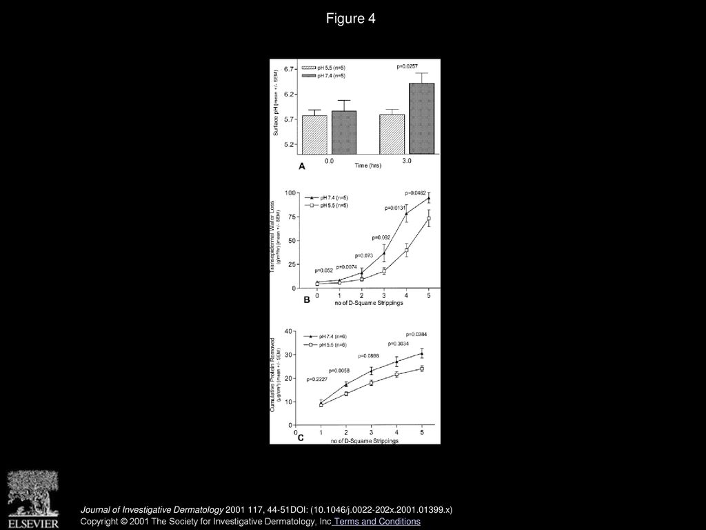 Generation of Free Fatty Acids from Phospholipids Regulates Stratum ...