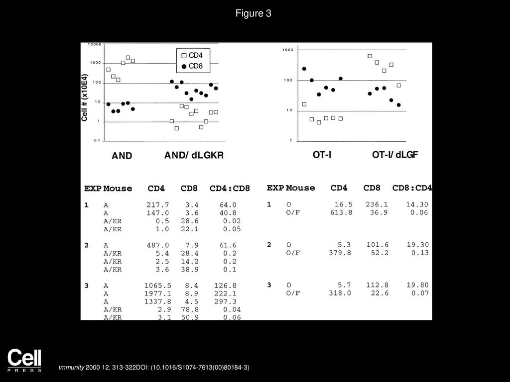 Lck activity controls cd4 cd8 t cell lineage commitment ppt download