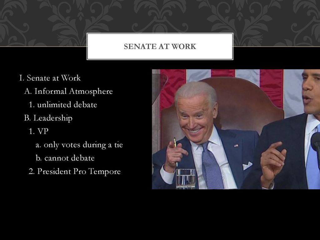 The senate ppt download