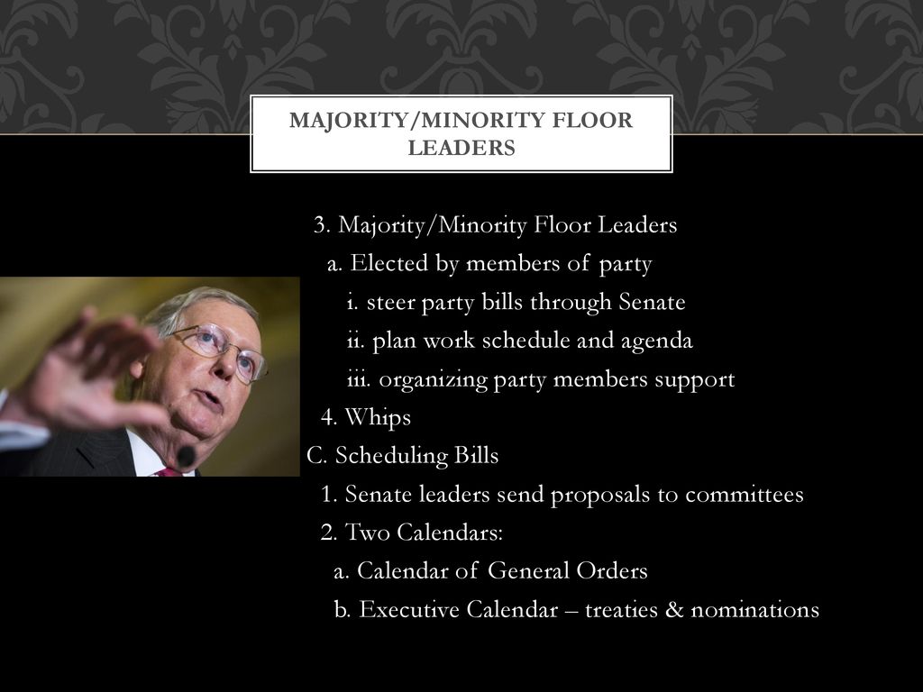 The senate ppt download