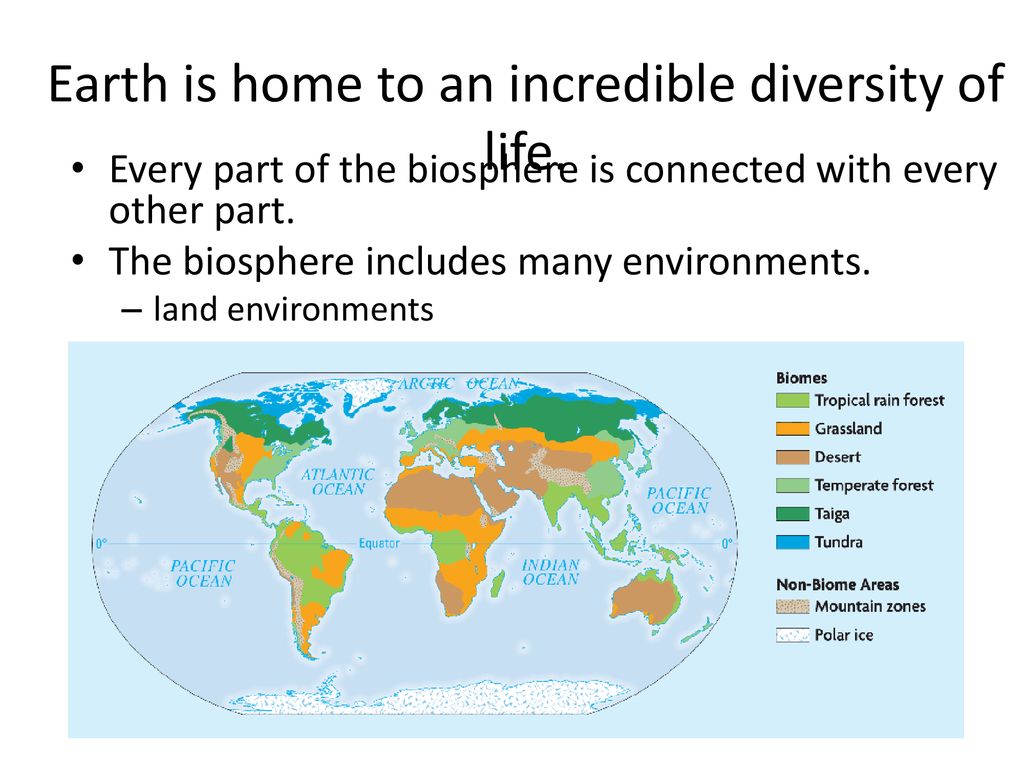 Earth is home to an incredible diversity of life.