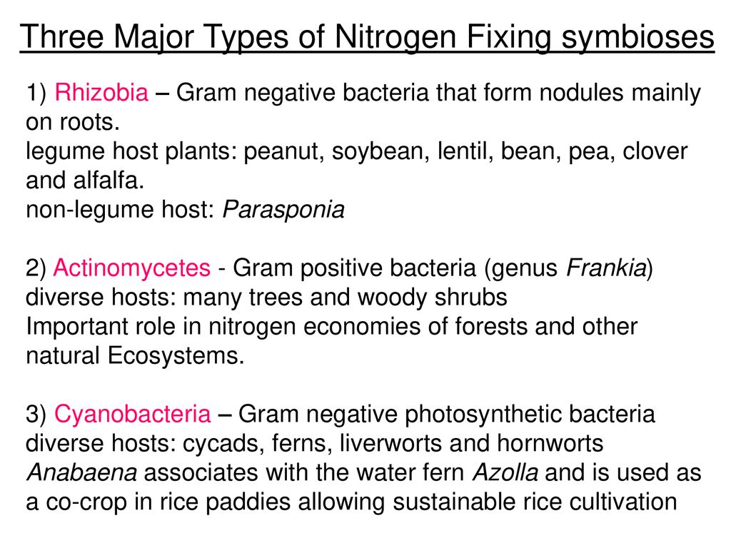 Three Major Types of Nitrogen Fixing symbioses