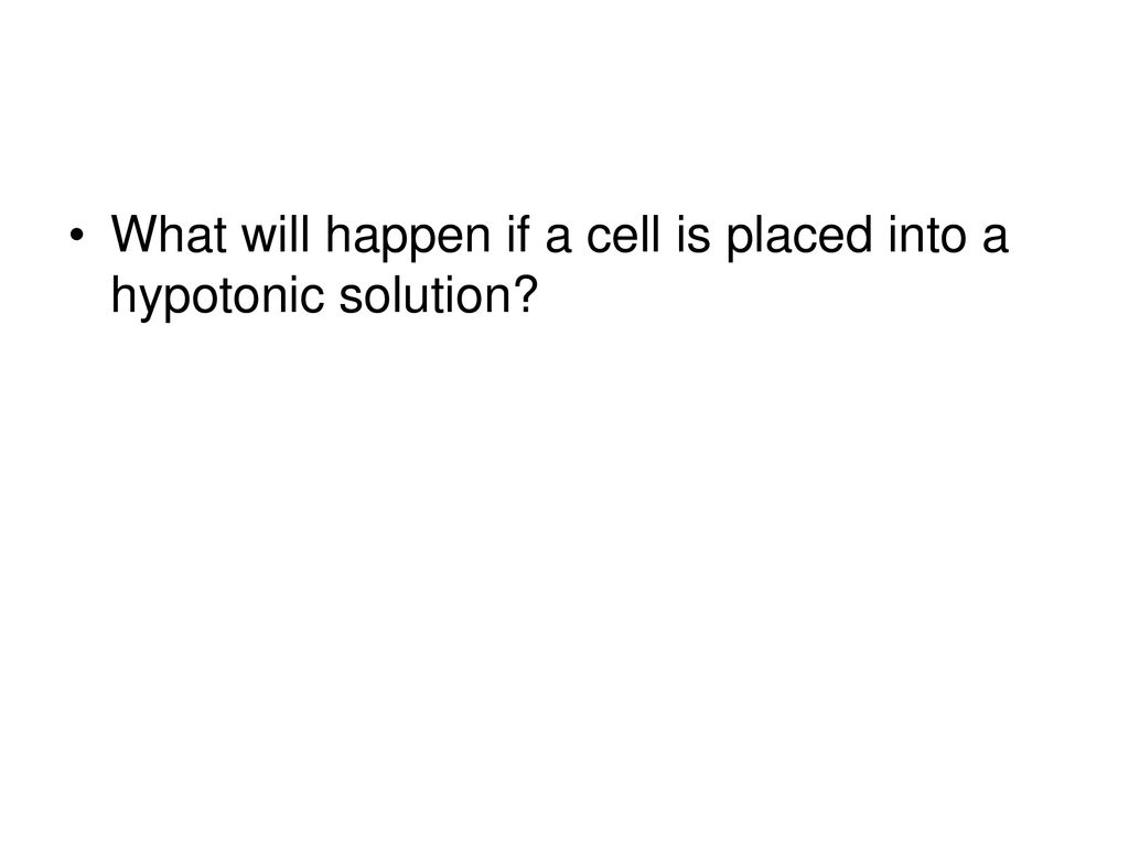 What will happen if a cell is placed into a hypotonic solution
