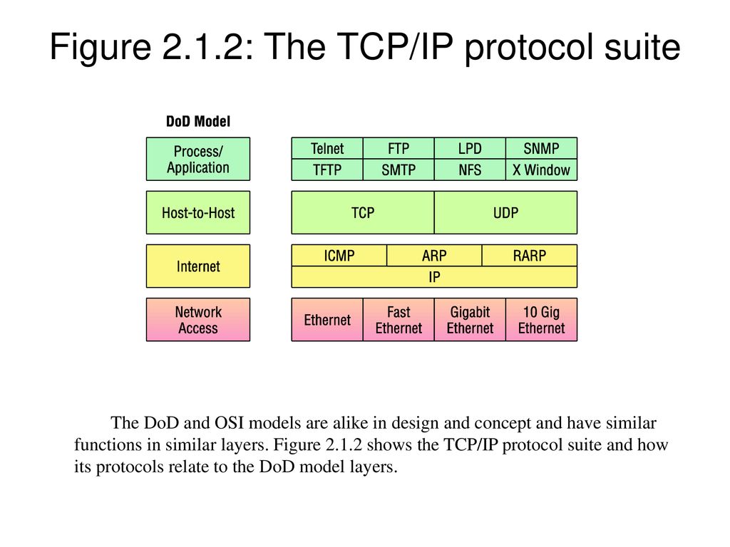 Prepared by adeel ahmad ppt download