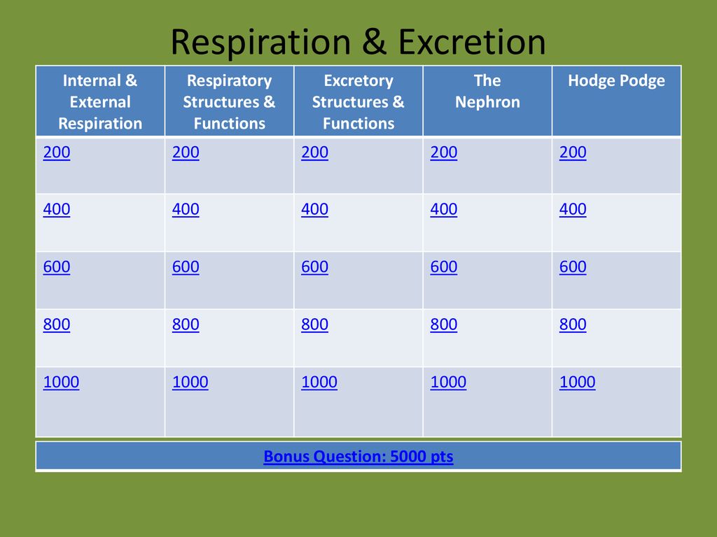 Welcome! The Topic For Today Is Respiration/Excretion - Ppt Download