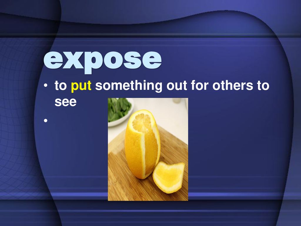 expose to put something out for others to see