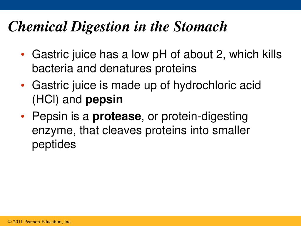 Chapter 41 Animal Nutrition - ppt download