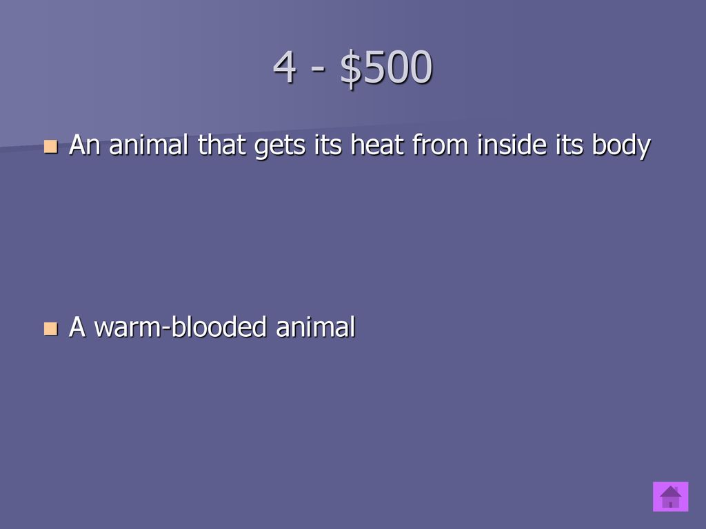 4 - $500 An animal that gets its heat from inside its body